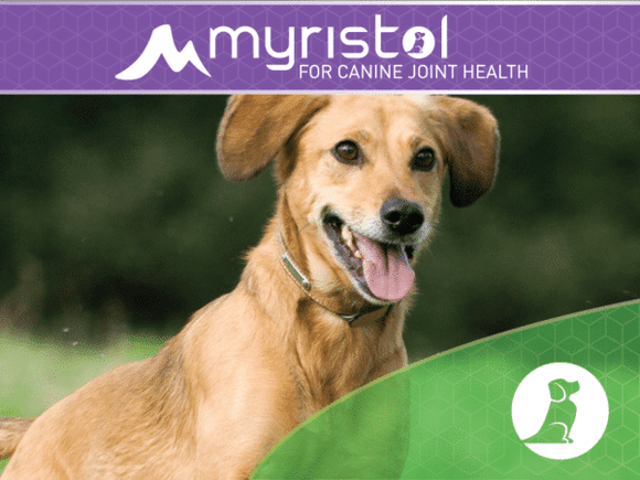 Myristol Canine